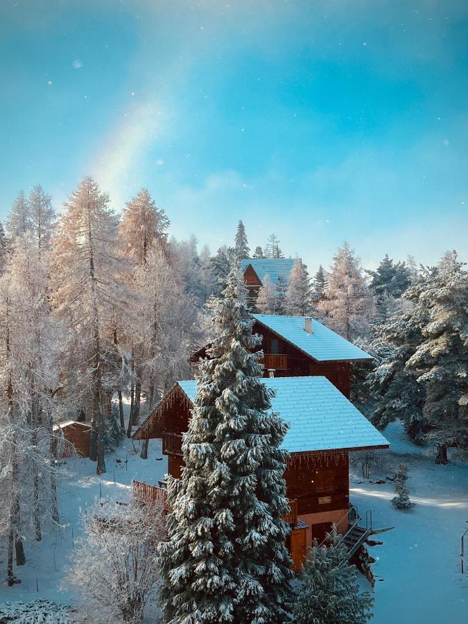 La Joue Du Loup, Aux Pieds Des Pistes Et Vue Sur Montagnes Apartment Екстериор снимка