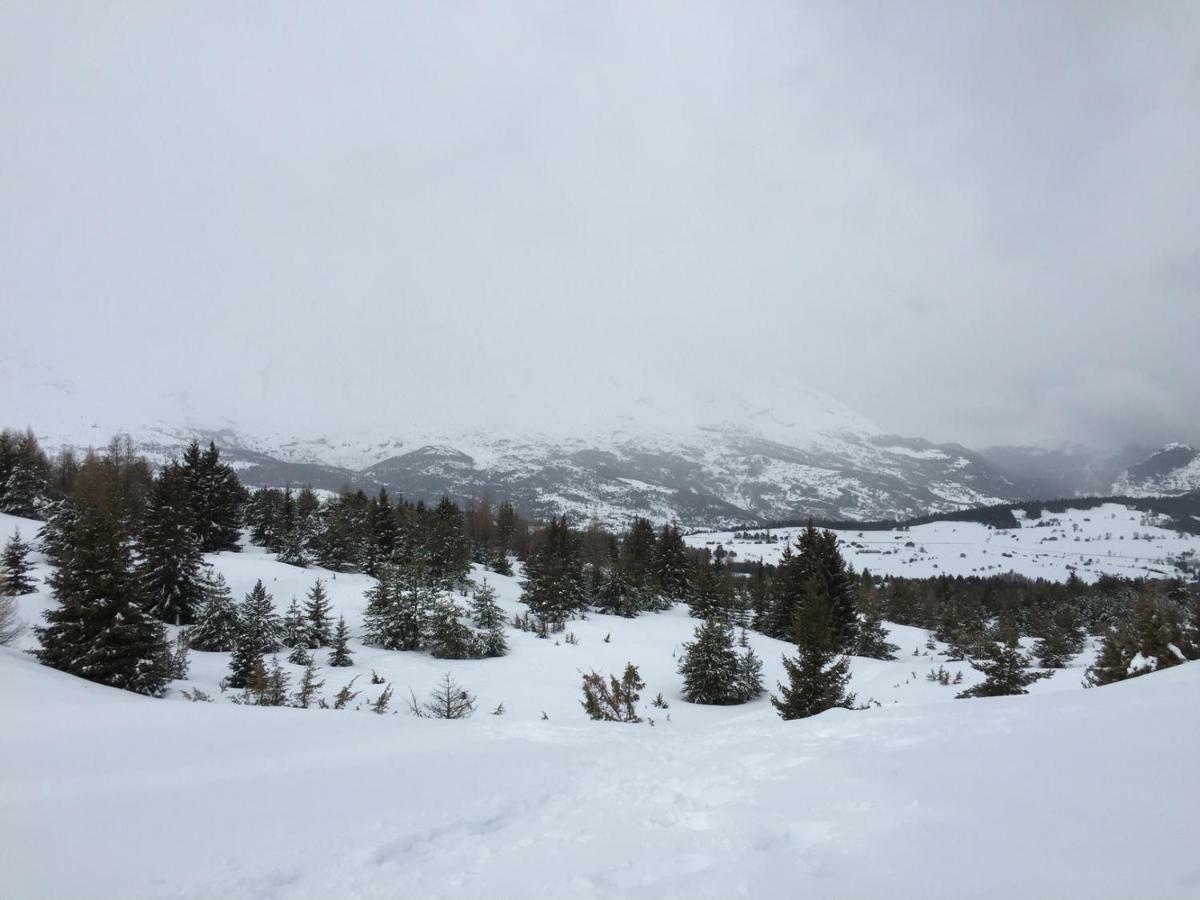La Joue Du Loup, Aux Pieds Des Pistes Et Vue Sur Montagnes Apartment Екстериор снимка